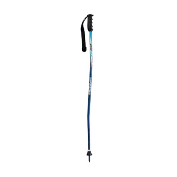 Dynastar Race G SG Junior Ski Poles
