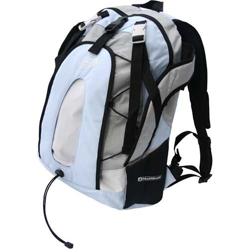 Rollerblade Fusion Skate Backpack 2009