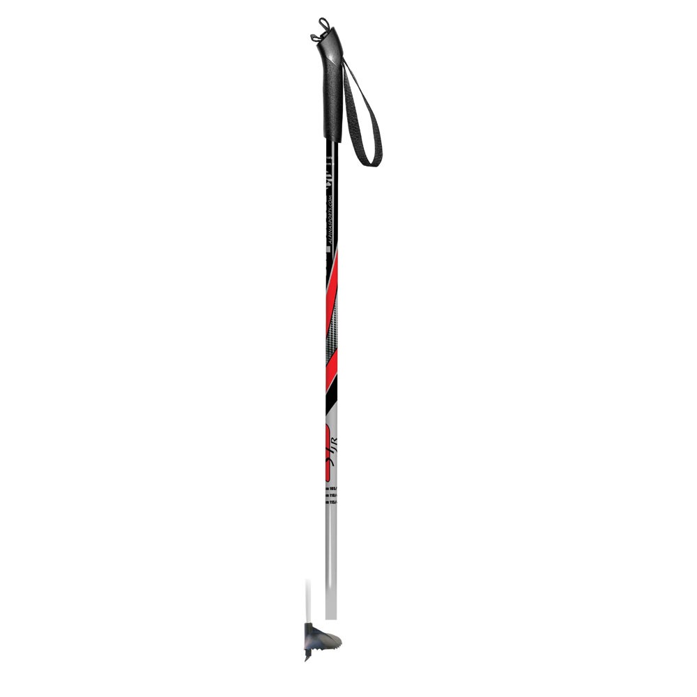 Alpina Junior Touring Pole 2009
