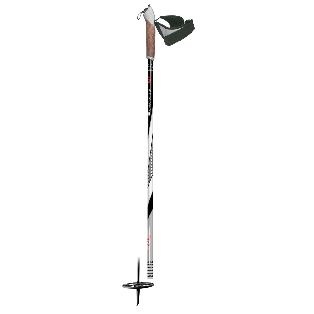 Alpina BC Touring Poles 2010