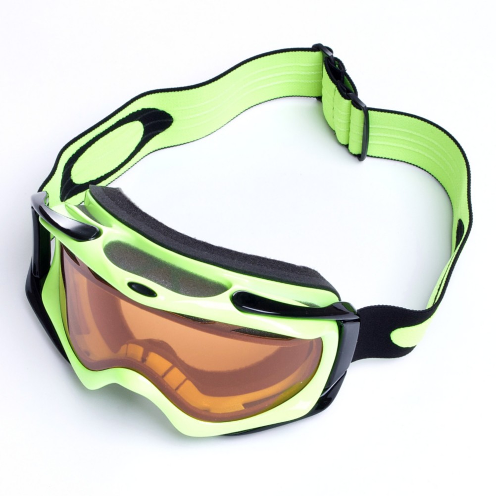 Oakley Ambush Goggle - Adult 2010