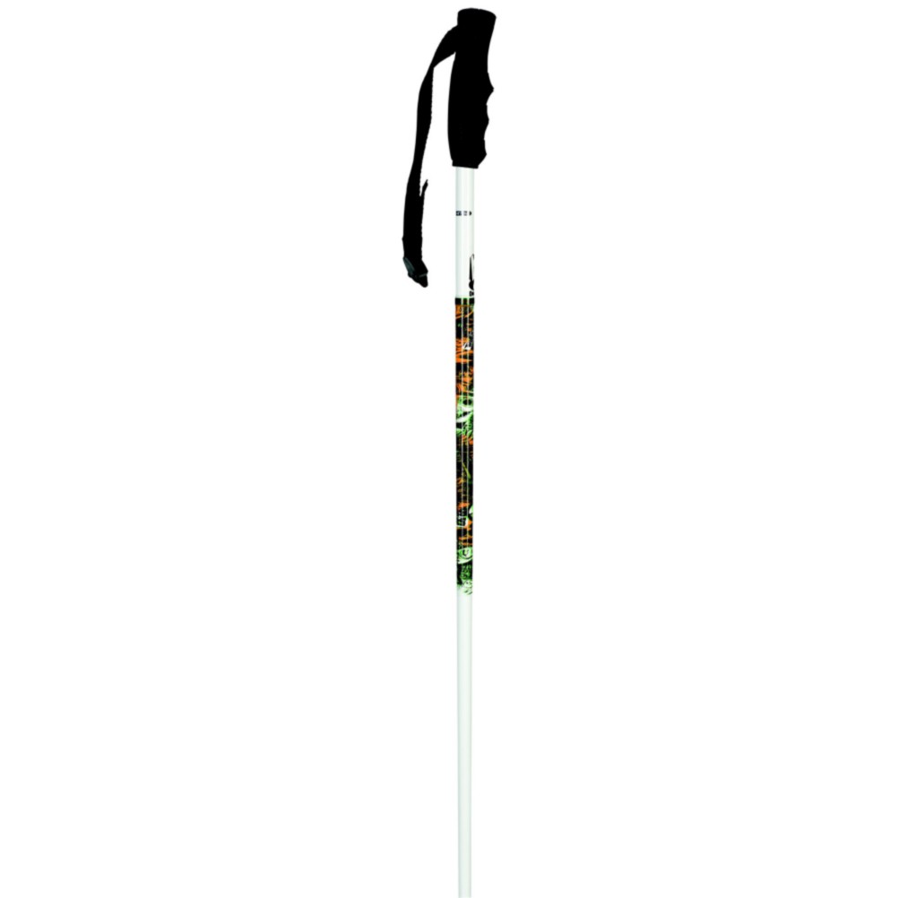 K2 V6 Ski Poles - Mens 2010