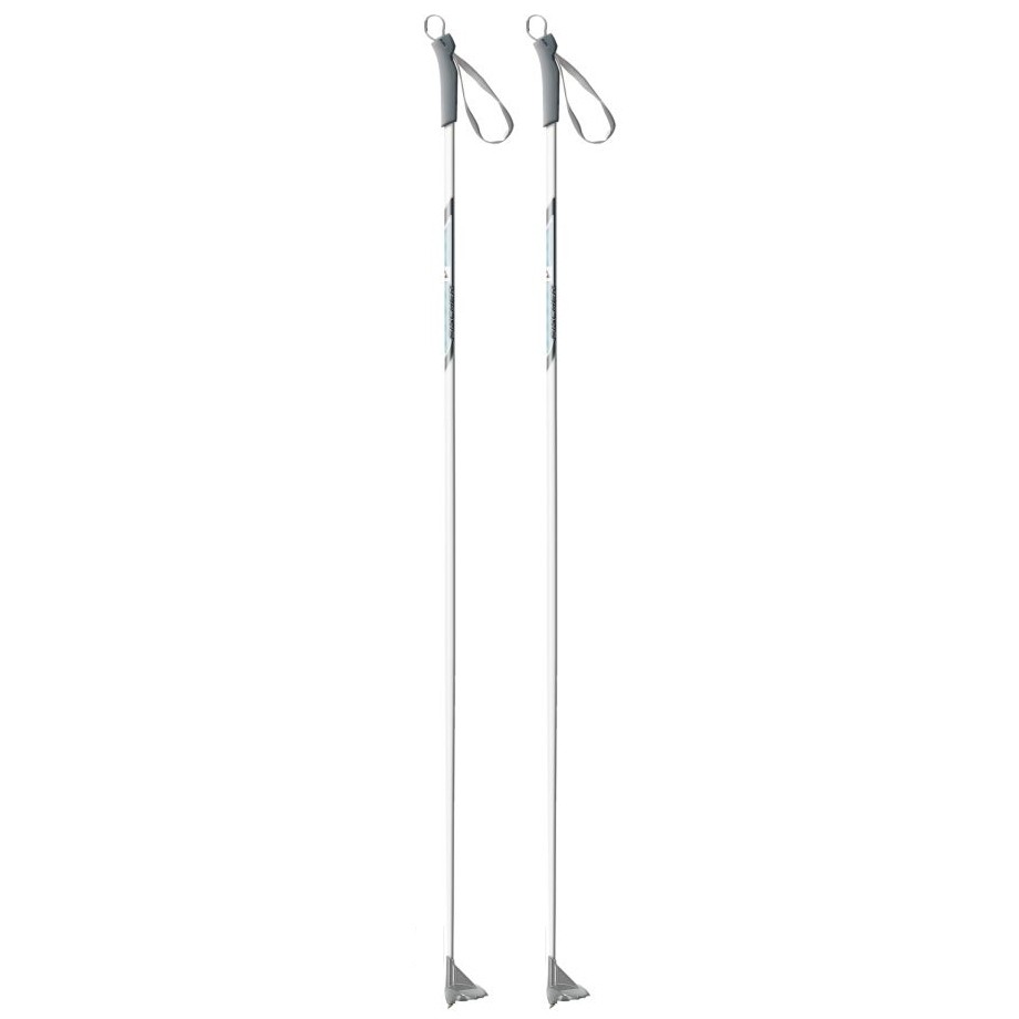 Fischer Vision Sport Ski Poles 2010