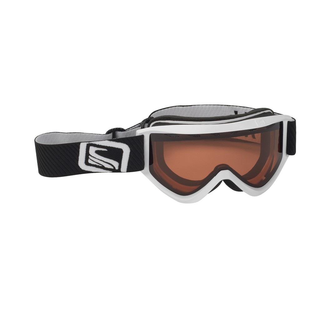 Scott Duel Goggles - Adults 2010