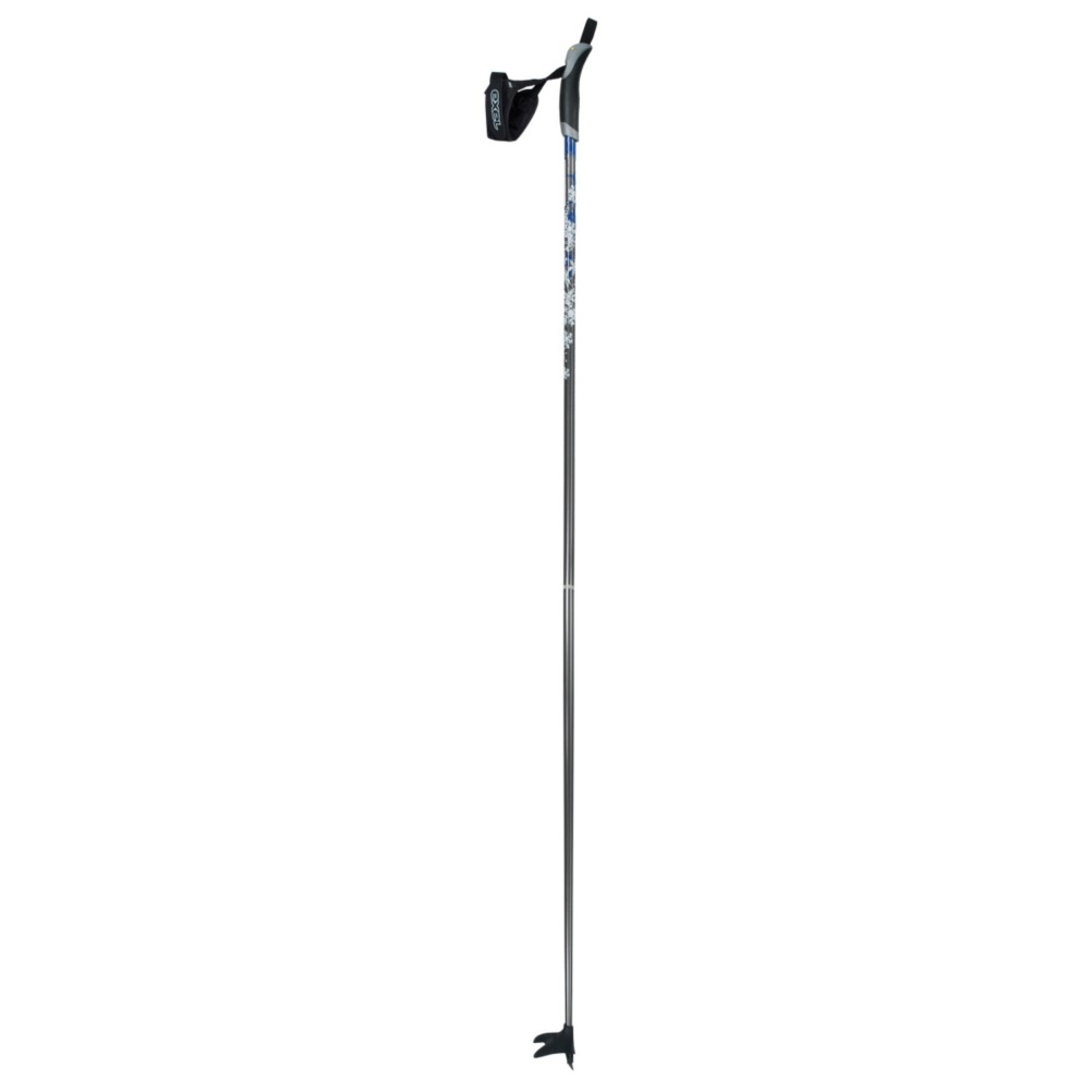 Exel Nordic Experience Cross Country Ski Poles 2010