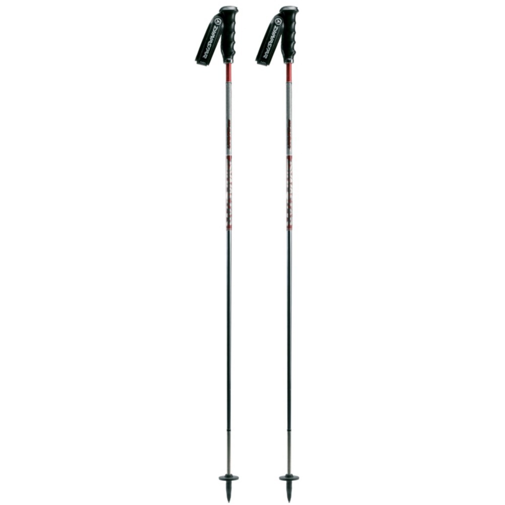    Men's Dynastar Pro Carbon Ski Poles 2009