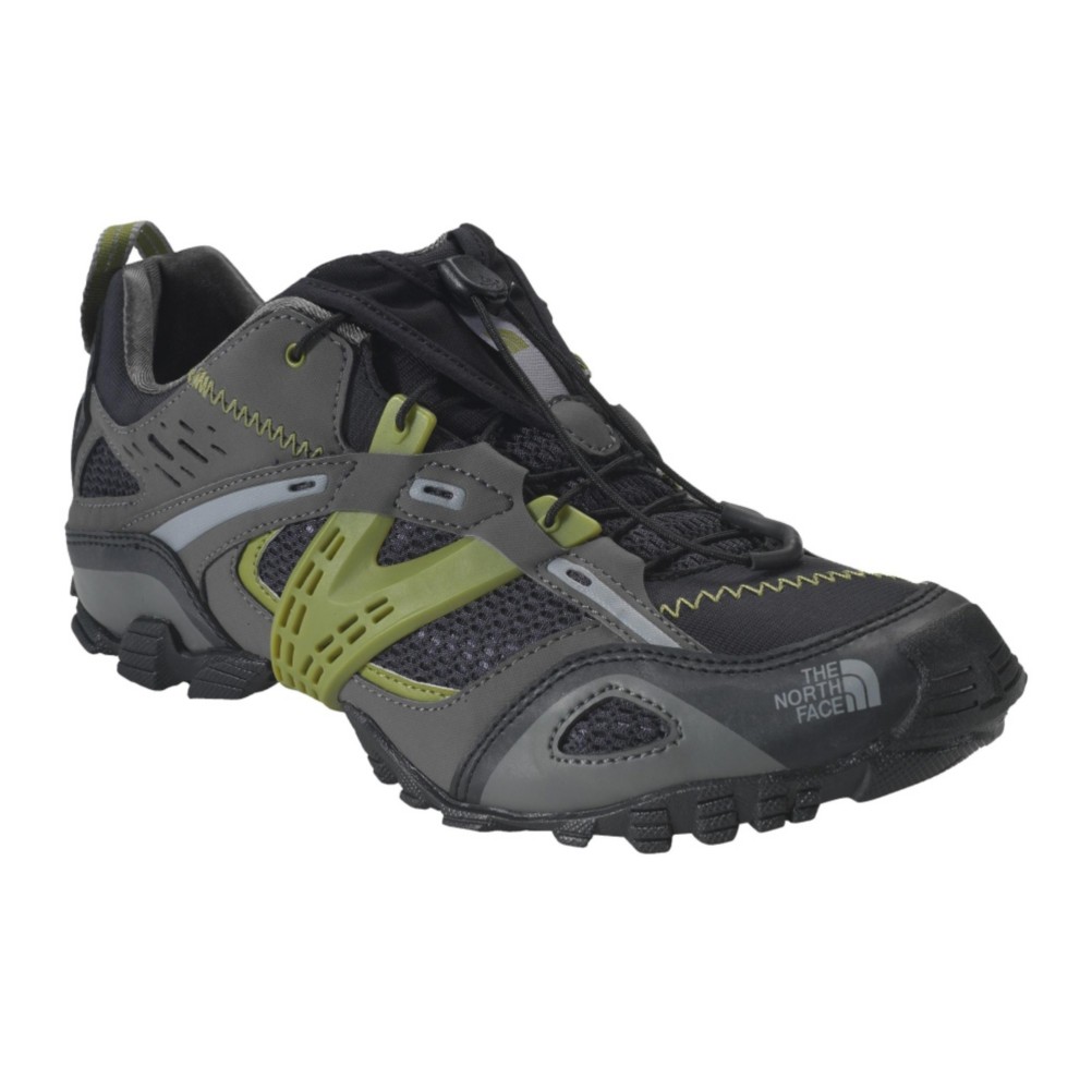 Gunmetal Grey Anemone  Green