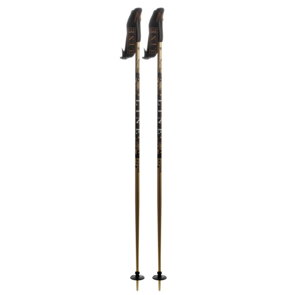 Line Lance Ski Poles - Adult 2010