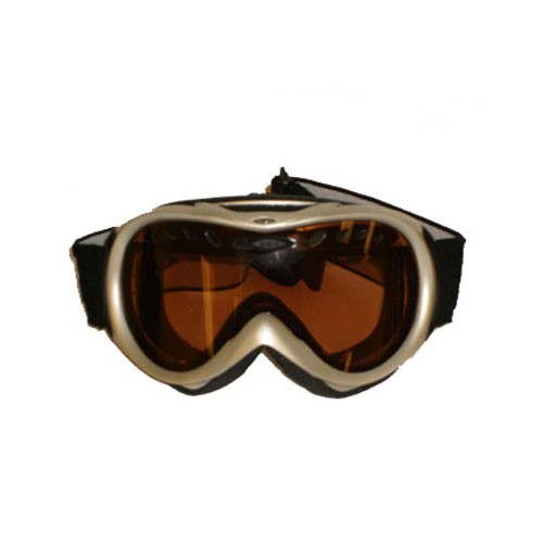 Smith Extreme Regulator Series Goggle - Adult 2009