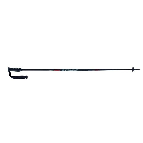 Dynastar Race S Ski Poles - Senior